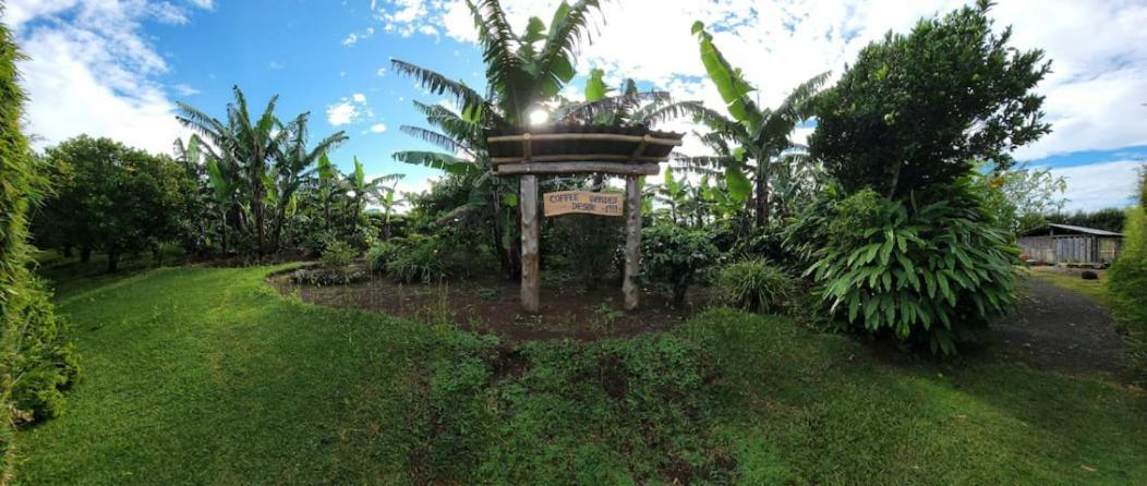 Coffee Garden Ranch Costa Rica Lägenhet Concepcion  Exteriör bild