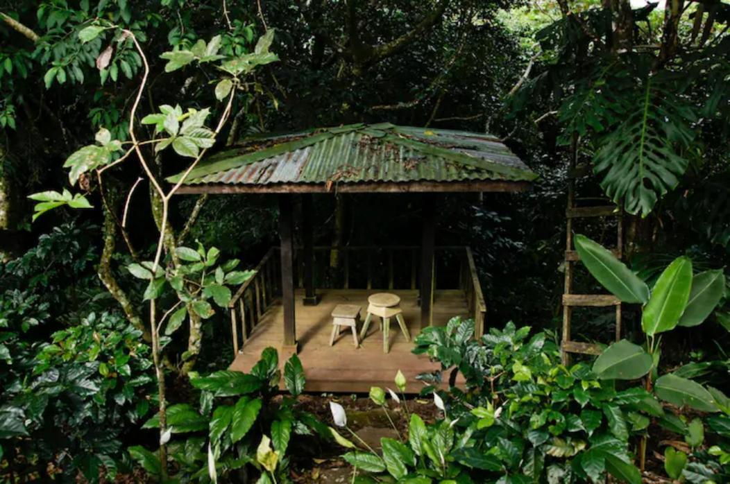 Coffee Garden Ranch Costa Rica Lägenhet Concepcion  Exteriör bild