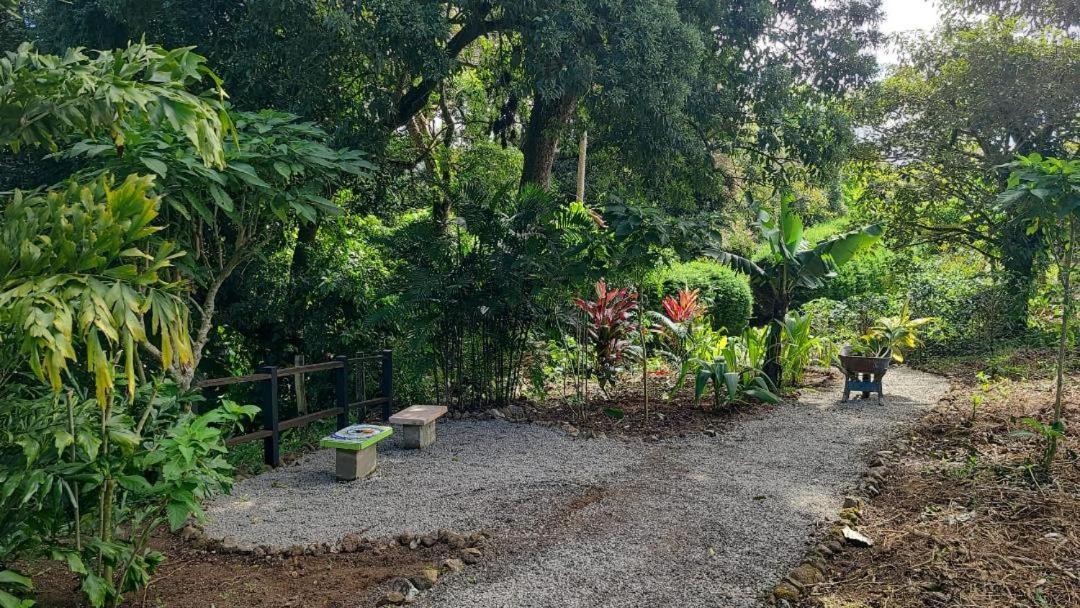 Coffee Garden Ranch Costa Rica Lägenhet Concepcion  Exteriör bild